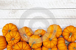 Autumn Pumpkin Thanksgiving Background