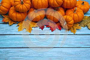 Autumn Pumpkin Thanksgiving Background