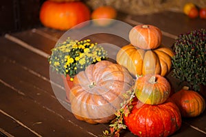 Autumn Pumpkin Thanksgiving Background - orange pumpkins, leaves and flowers over wooden floor