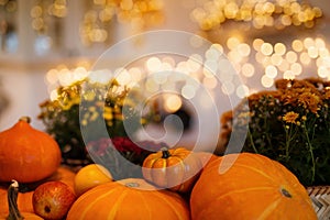 Autumn Pumpkin Thanksgiving Background - orange pumpkins over wooden table