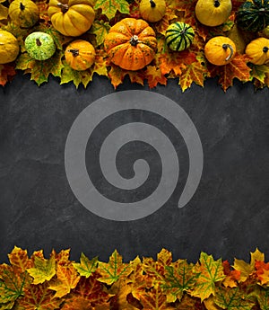 Autumn Pumpkin Thanksgiving Background - top view