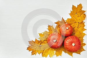 Top view banner with a pumpkins on golden maple leaf