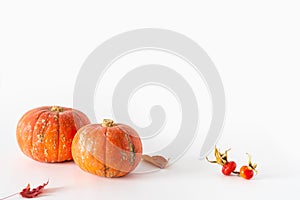 Autumn Pumpkin Thanksgiving Background. Two pumpkins on a white background. Side view, copy space. Autumn composition