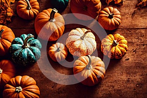 Autumn Pumpkin Thanksgiving Background