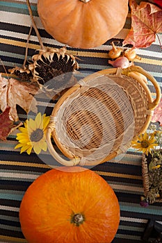 autumn pumpkins