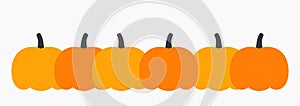 Autumn pumpkins border, flat design element