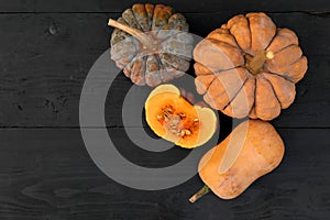 Autumn pumpkins Cucurbita moschata