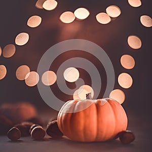 Autumn pumpkins and fall decor on a rustic background illuminated with light