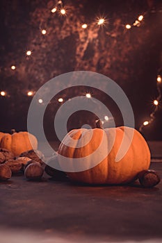 Autumn pumpkins and fall decor on a rustic background illuminated with light