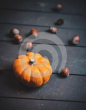 Autumn pumpkins and fall decor on a rustic wood background with copy space