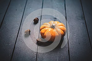 Autumn pumpkins and fall decor on a rustic wood background with copy space