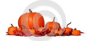 Autumn pumpkins and fall leaves border isolated on white