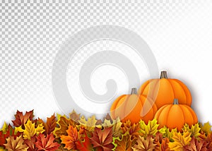 Autumn Pumpkins with Fall Maple Leaves. Seasonal Vector Border