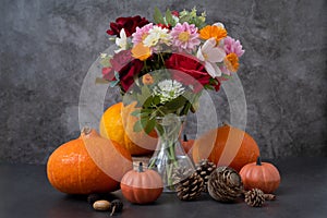 Autumn pumpkins and flowers on dark background, fall warm and cozy composition