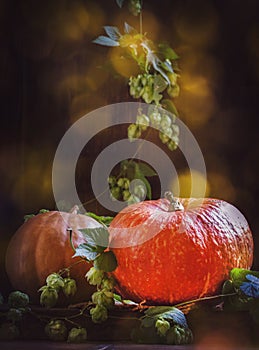 Autumn pumpkins with hop cones and hop vine, selective focus