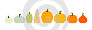 Autumn pumpkins icons colorful varieties collection border