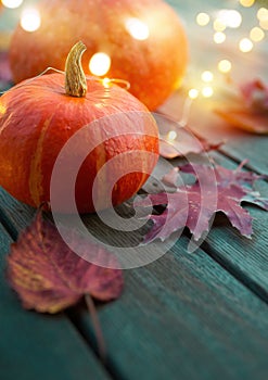 Autumn pumpkins and maple leaves on a wooden background as decorations for thanksgiving day