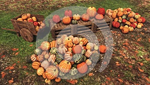 Autumn pumpkins at rural farmer`s market Top view