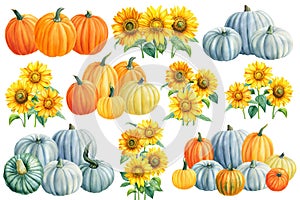 Autumn Pumpkins and sunflowers on a white isolated background. watercolor clipart.