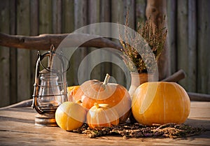 Autumn Pumpkins, The Thanksgiving day Background, Halloween