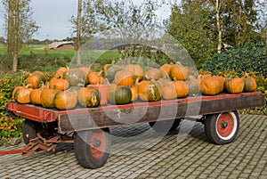 Autumn Pumpkins on a trailer