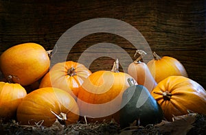 Autumn pumpkins on a wooden background as decorations for thanksgiving day