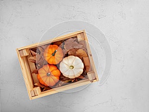 Autumn pumpkins in a wooden crate over autumn leaves on gray textured background with copy space