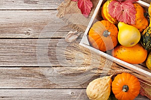 Autumn pumpkins on wooden table