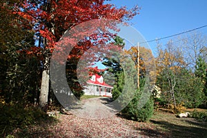 Autumn in Quebec. Canada, north America.