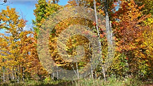 Autumn in Quebec. Canada, north America.