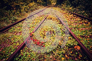 Autumn on the railroad