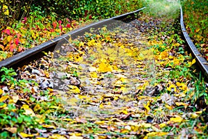 Autumn on the railroad