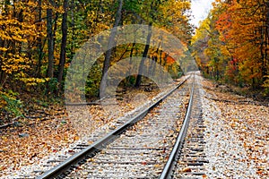 Autumn Railroad Tracks