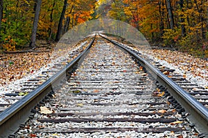 Autumn Rails