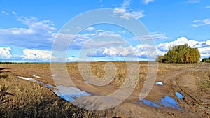 In autumn, after the rain, puddles formed on the country road, reflecting the blue sky with clouds. The tracks of car tires were i