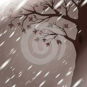 Autumn rain with tree silhouette