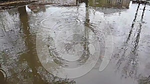 Autumn rain water drops falling into big puddle on asphalt, flooding the street. Slow motion video.