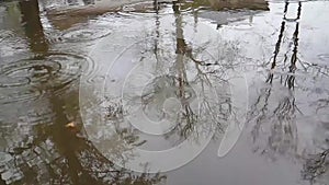 Autumn rain water drops falling into big puddle on asphalt, flooding the street. Slow motion video.