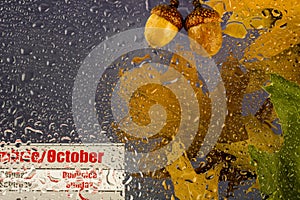 Autumn rainy cloudy day with dry leaves, drops of water on the glass, acorns and October calendar