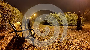 Autumn rainy night with lonely bench under yellowed trees in the park - vintage tones and soft focus processing