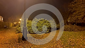 Autumn rainy night with lonely bench under yellowed trees in the park - vintage tones and soft focus processing