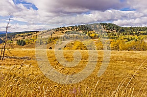 Autumn rangeland colors