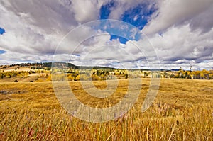 Autumn rangeland colors