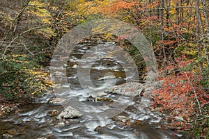 Autumn Rapids Little River