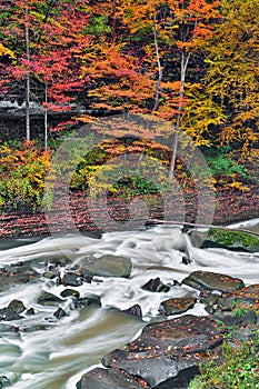 Autumn Rapids