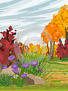Autumn realistic vector vertical landscape. Autumn tree, field and thickets of purple