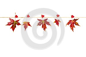 Autumn red, orange maple leaves hanging hitched with clothespin heart on rope on white background