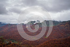 Autumn red trees landscape in Picos de Europa national park, in Spain