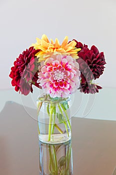 Autumn red and yellow dahlias bouquet in a vase