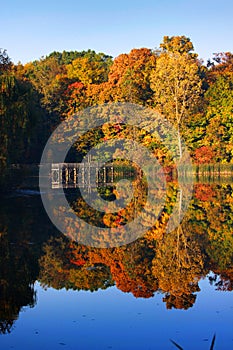 Autumn reflection